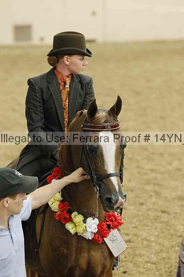 Proof 14yn_04435