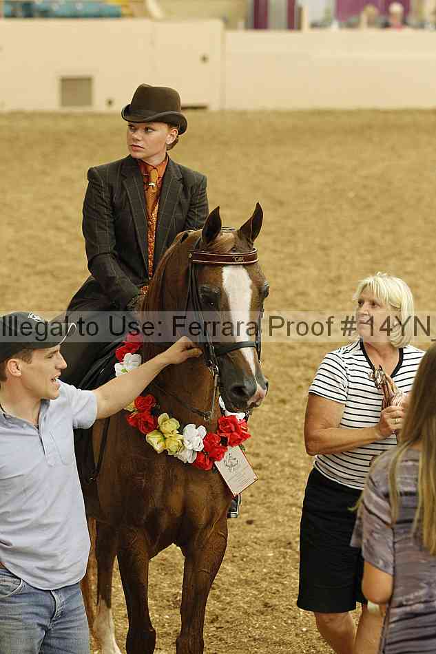 Proof 14yn_04436