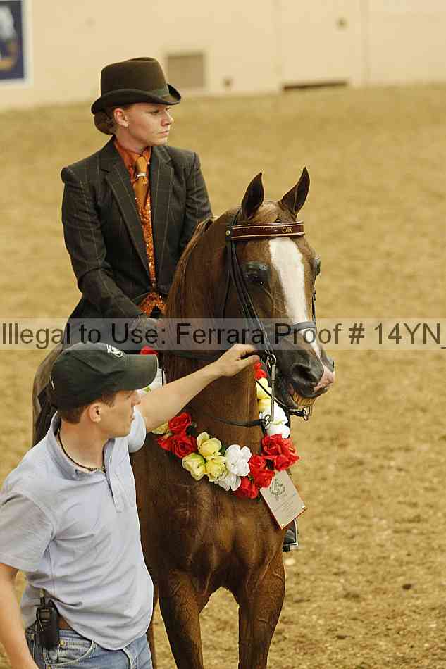 Proof 14yn_04437