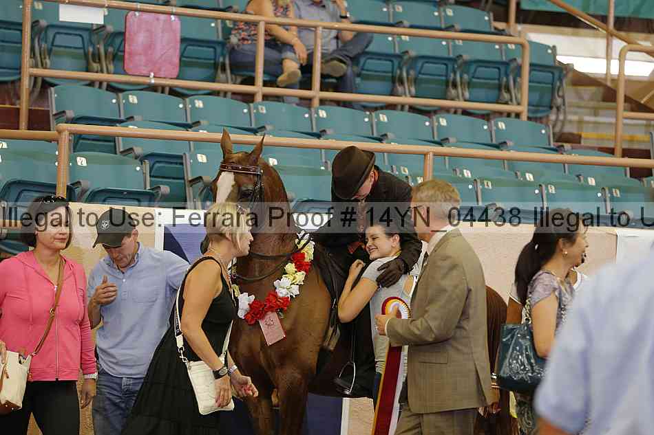 Proof 14yn_04438