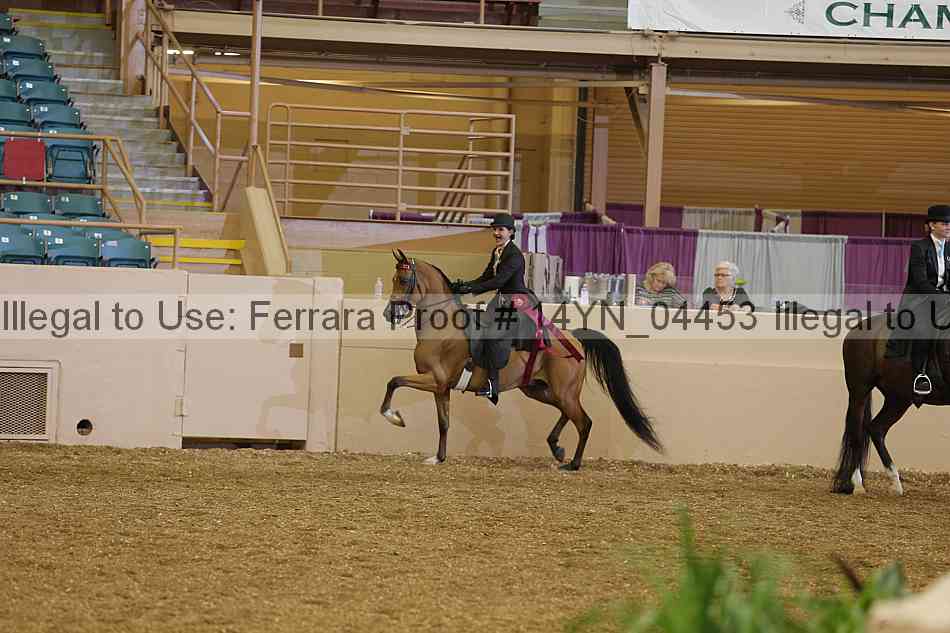 Proof 14yn_04453