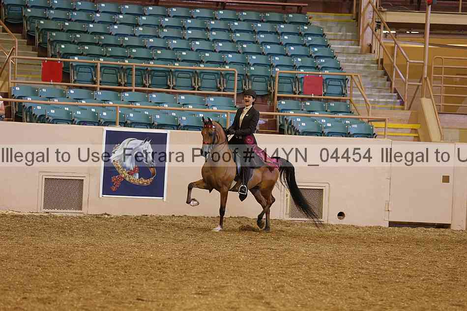 Proof 14yn_04454