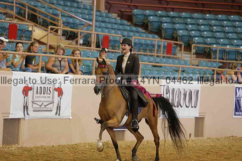 Proof 14yn_04462