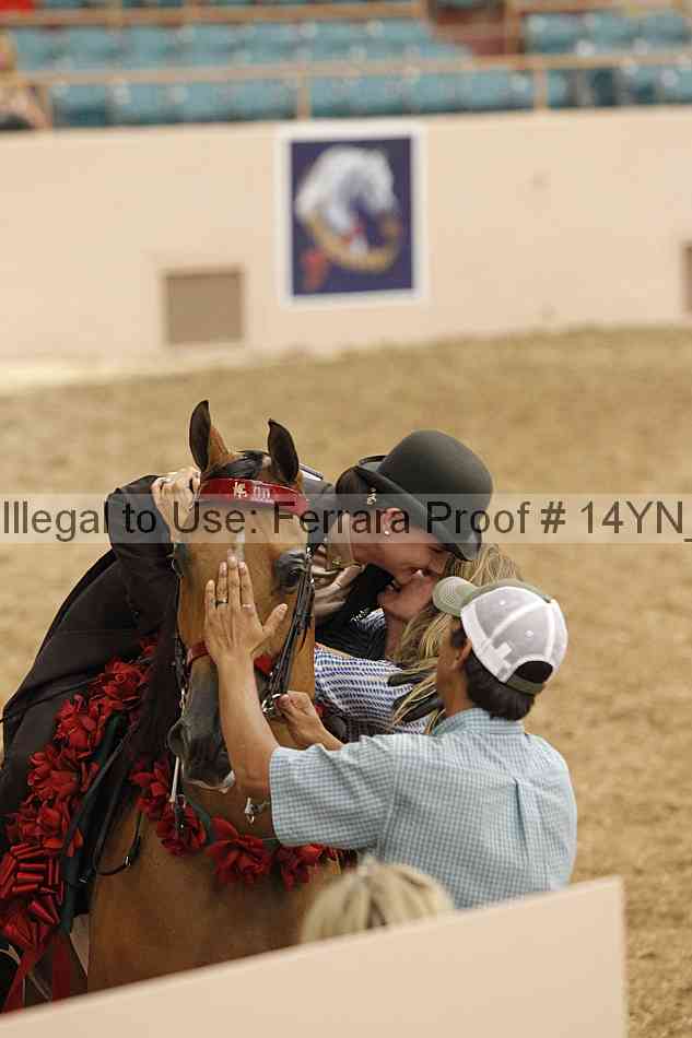 Proof 14yn_04490