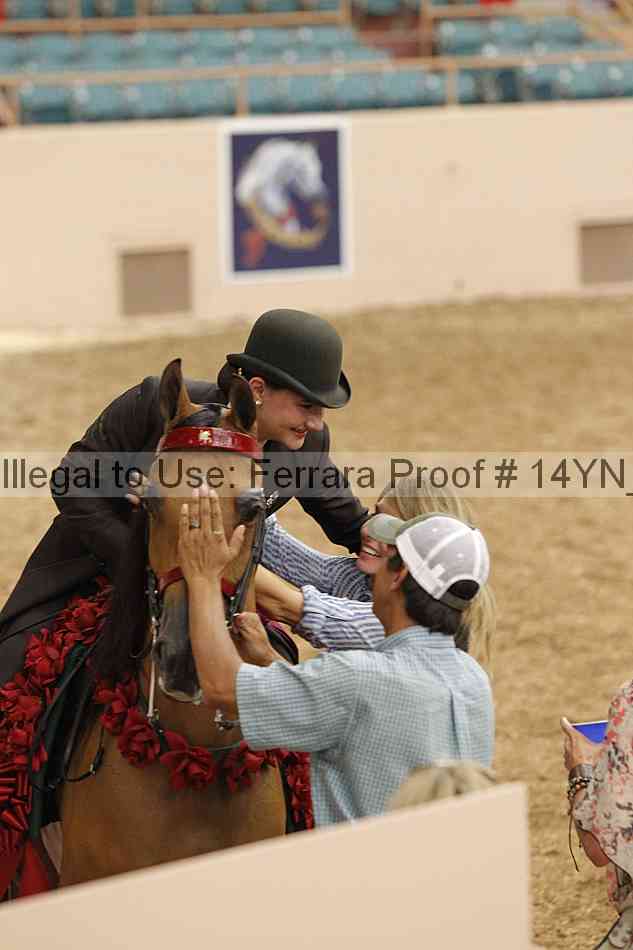 Proof 14yn_04492