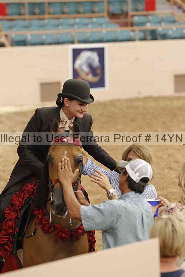 Proof 14yn_04493