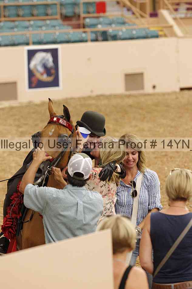 Proof 14yn_04494