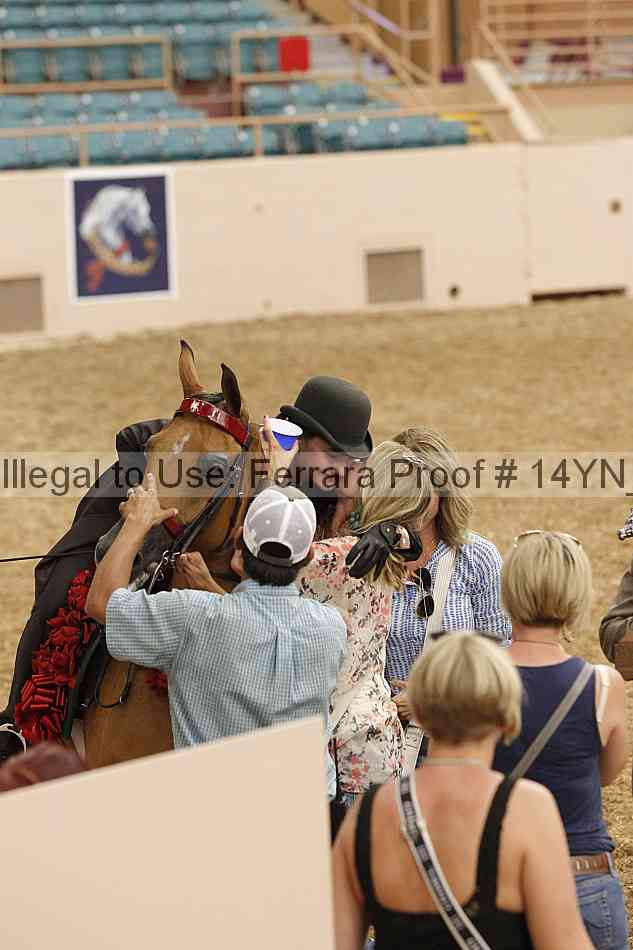 Proof 14yn_04495
