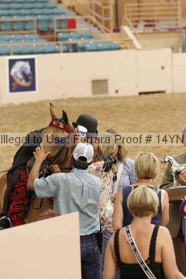 Proof 14yn_04496