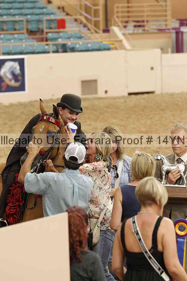 Proof 14yn_04497