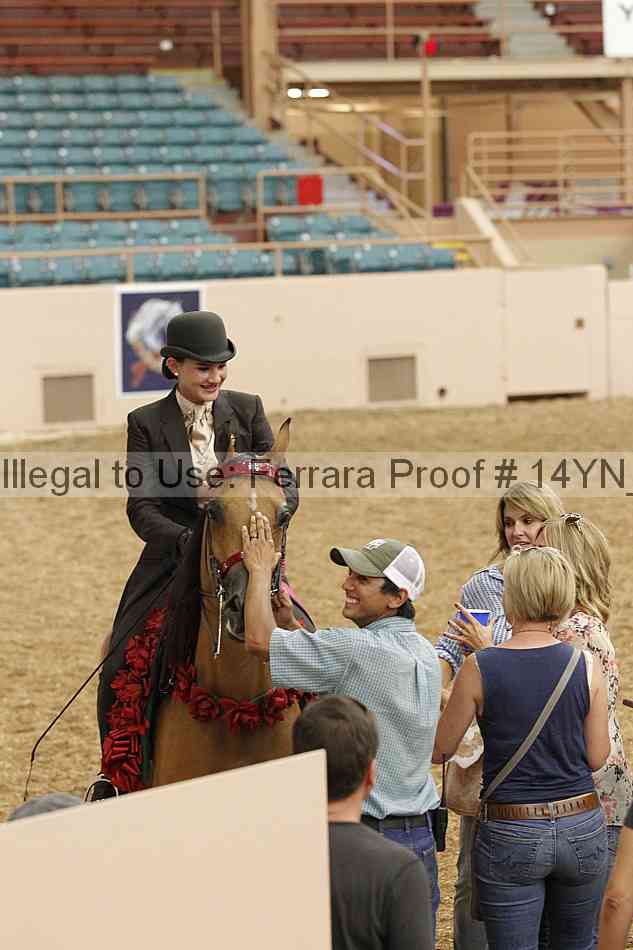 Proof 14yn_04499