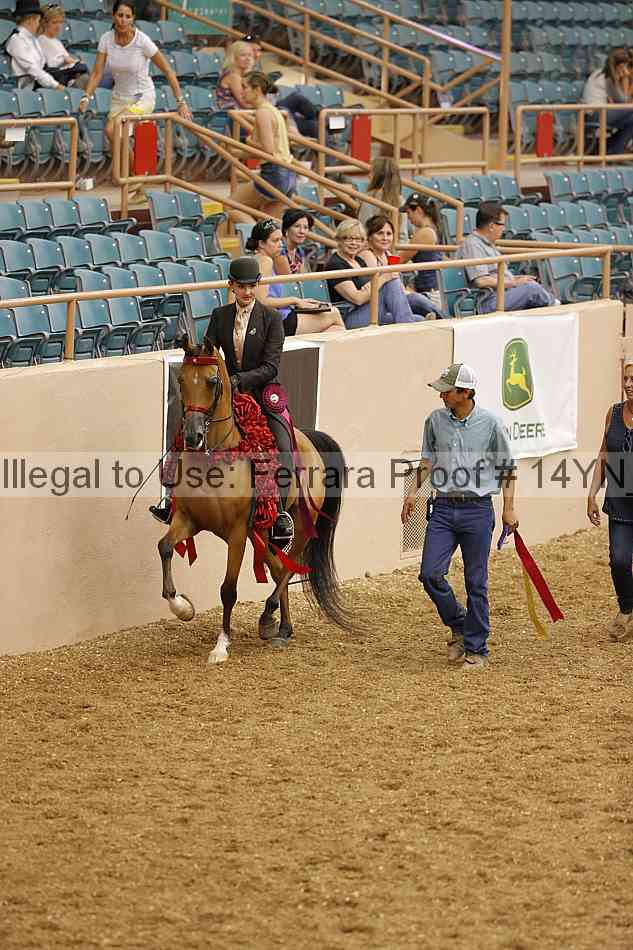 Proof 14yn_04506