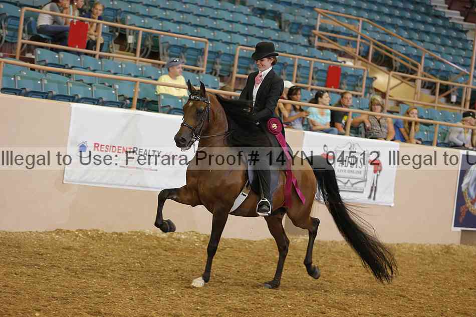 Proof 14yn_04512
