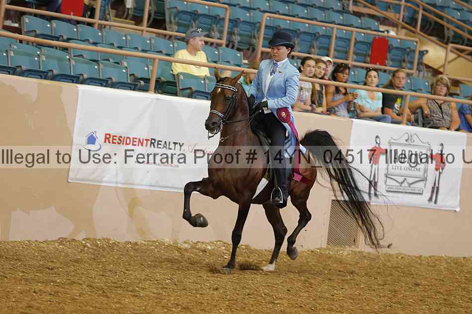 Proof 14yn_04517