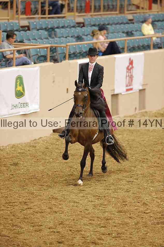 Proof 14yn_04518