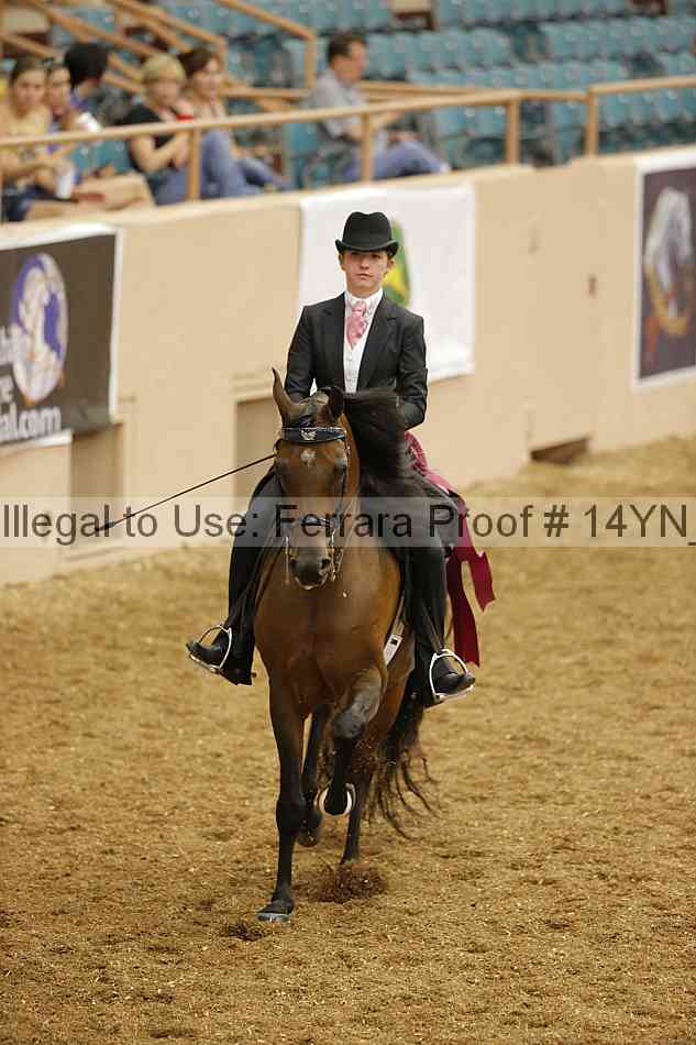 Proof 14yn_04519
