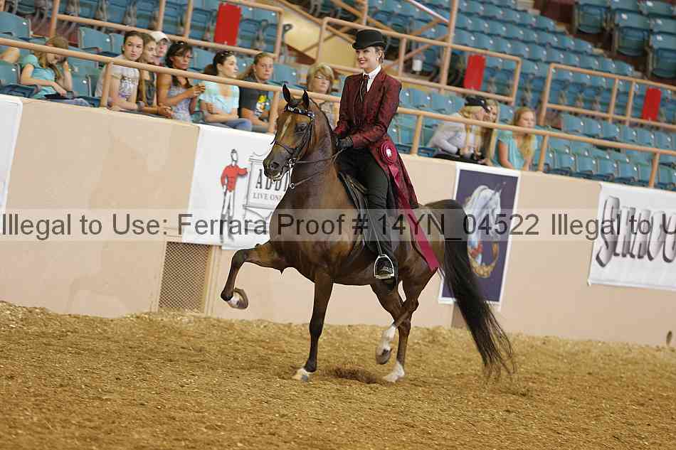 Proof 14yn_04522