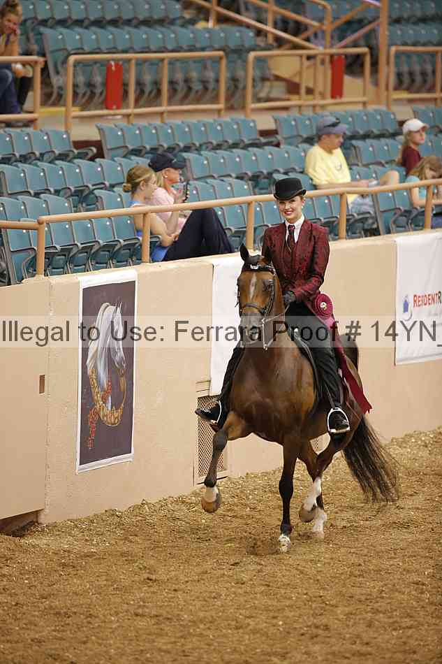 Proof 14yn_04524