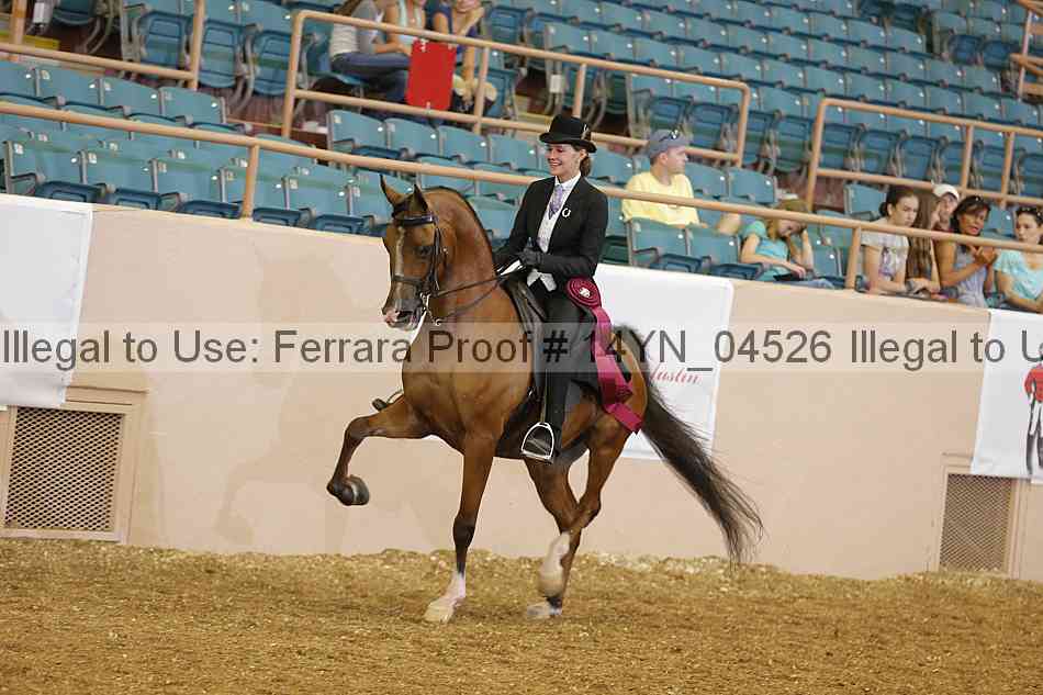 Proof 14yn_04526