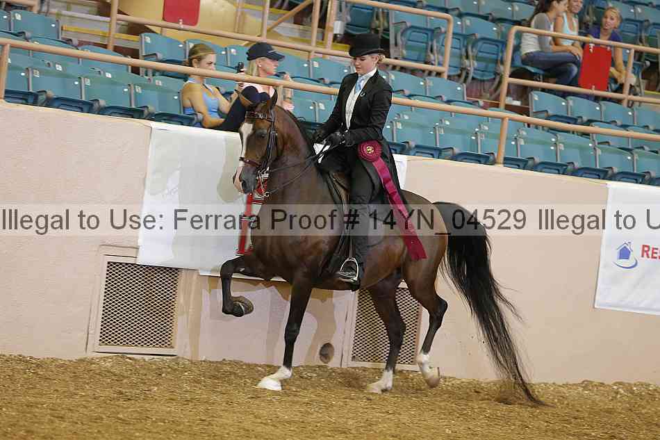Proof 14yn_04529