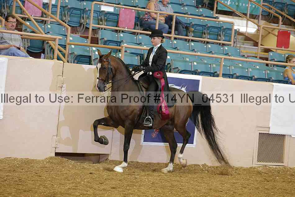 Proof 14yn_04531
