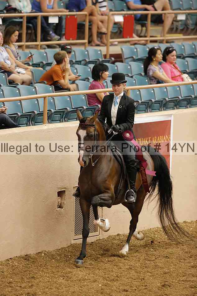 Proof 14yn_04535