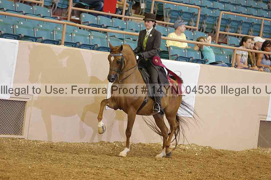 Proof 14yn_04536