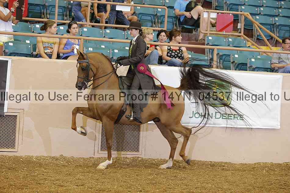 Proof 14yn_04537