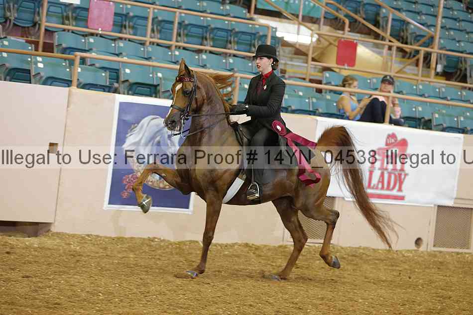 Proof 14yn_04538