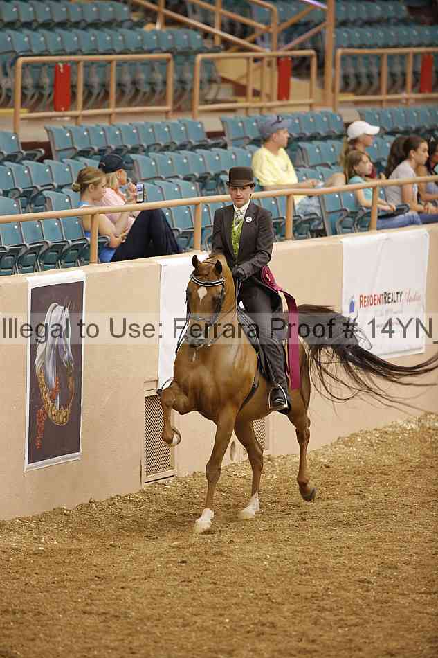 Proof 14yn_04540