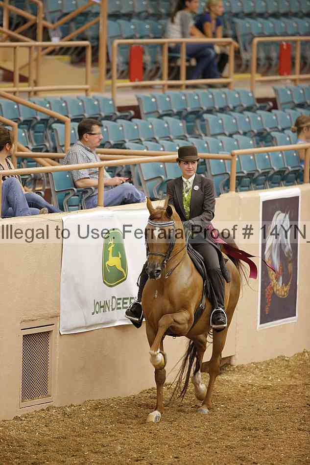 Proof 14yn_04541