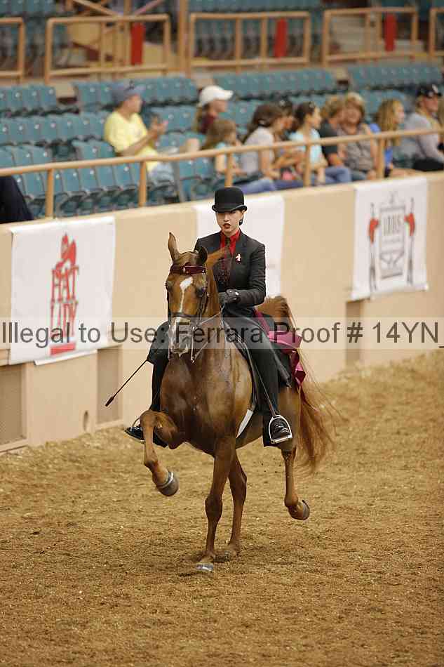 Proof 14yn_04542