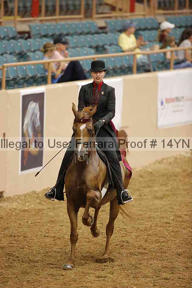 Proof 14yn_04544