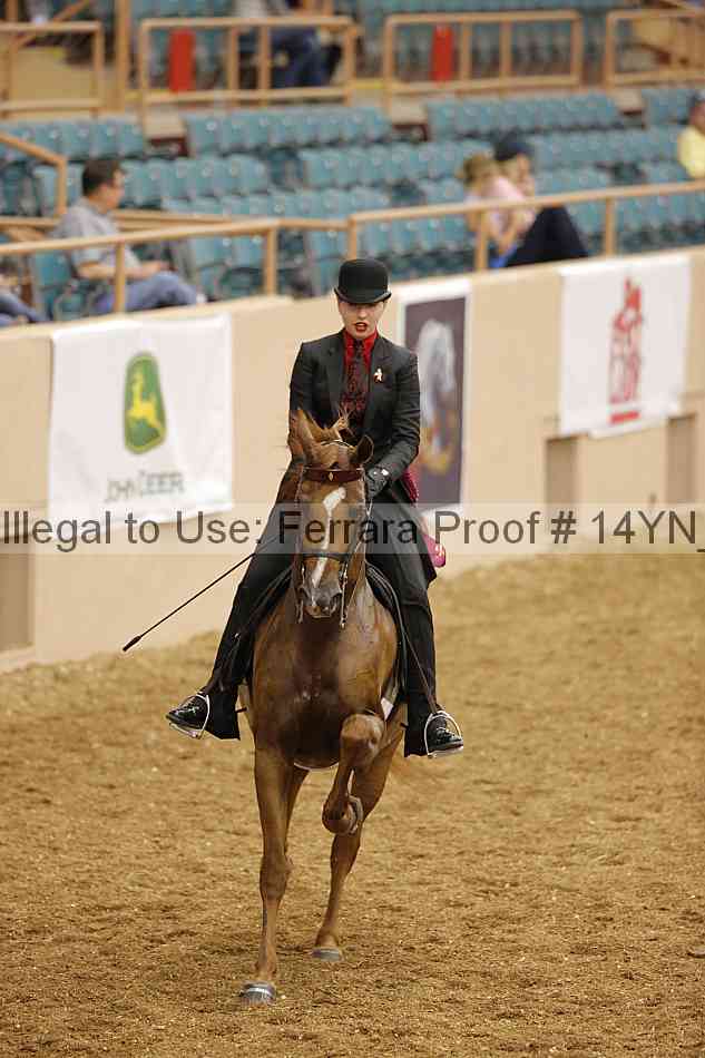 Proof 14yn_04545
