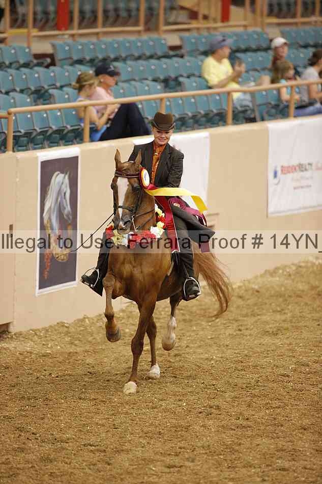 Proof 14yn_04546
