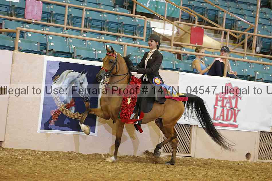 Proof 14yn_04547