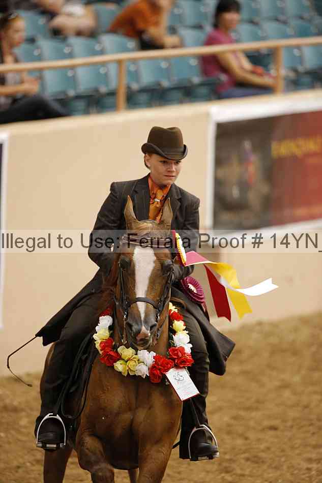Proof 14yn_04549