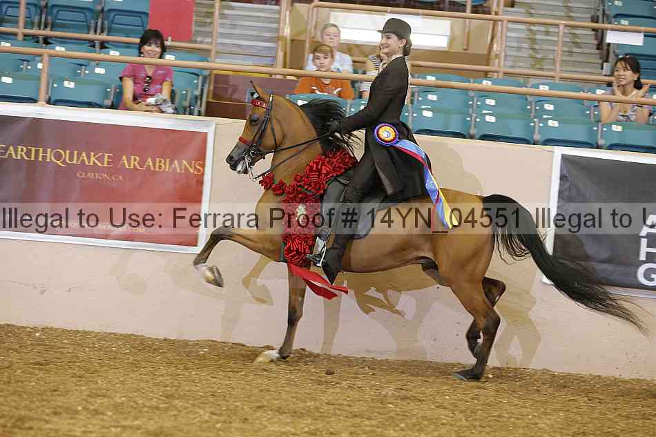 Proof 14yn_04551