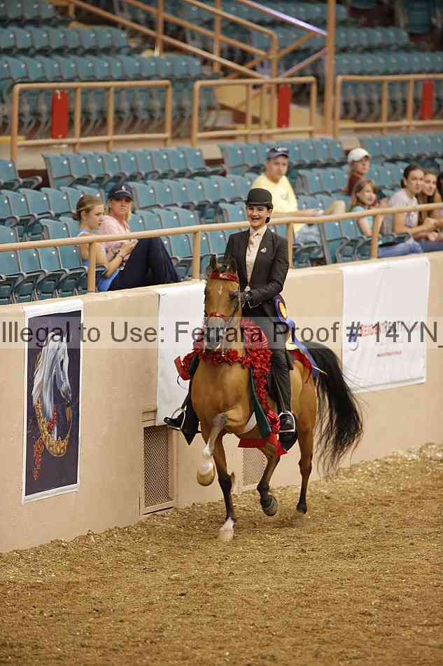 Proof 14yn_04553