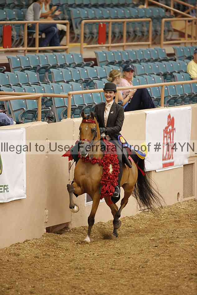 Proof 14yn_04554