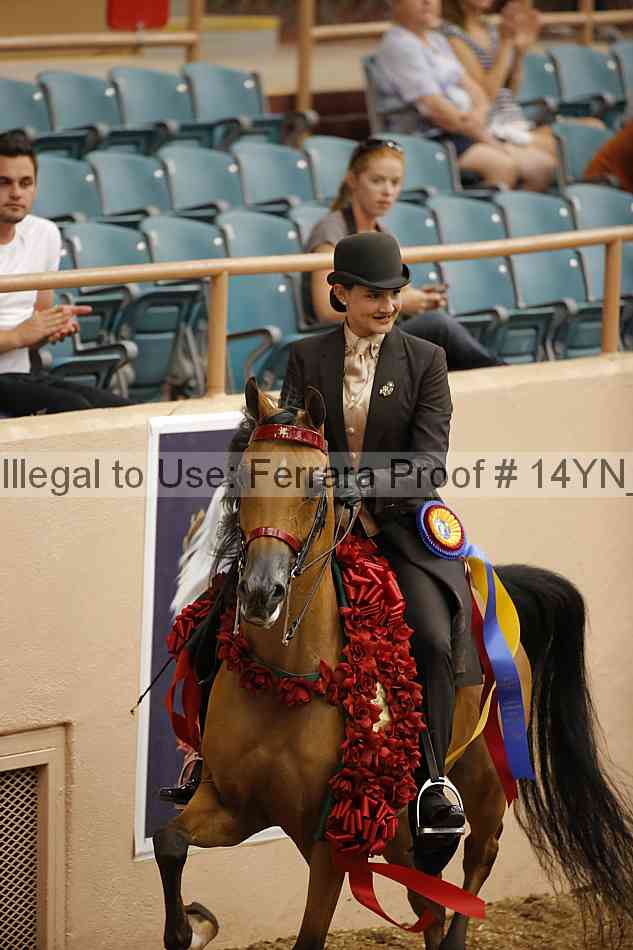 Proof 14yn_04556