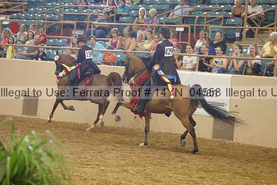 Proof 14yn_04558