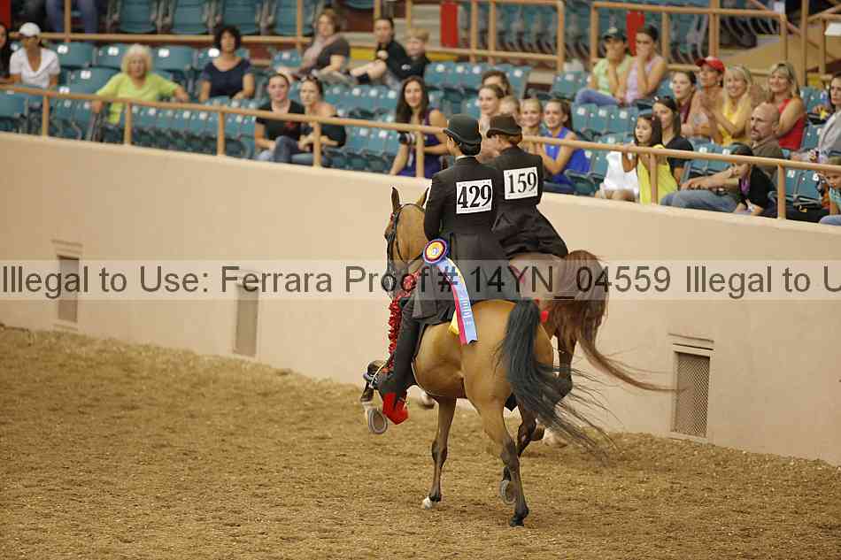 Proof 14yn_04559