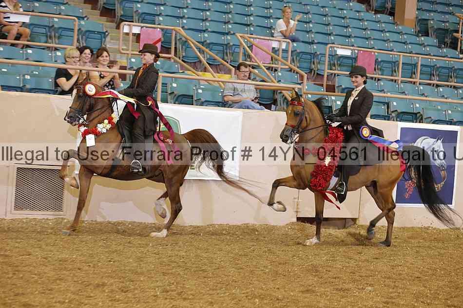 Proof 14yn_04561