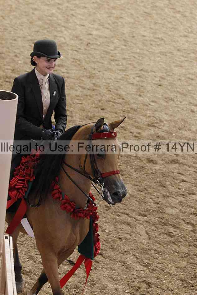 Proof 14yn_04562