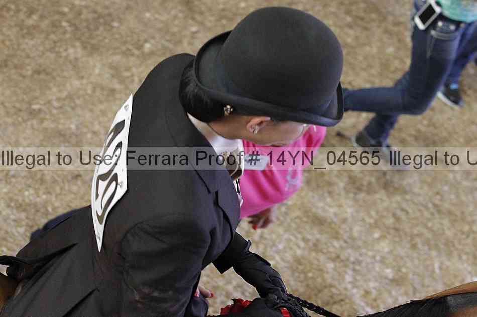 Proof 14yn_04565