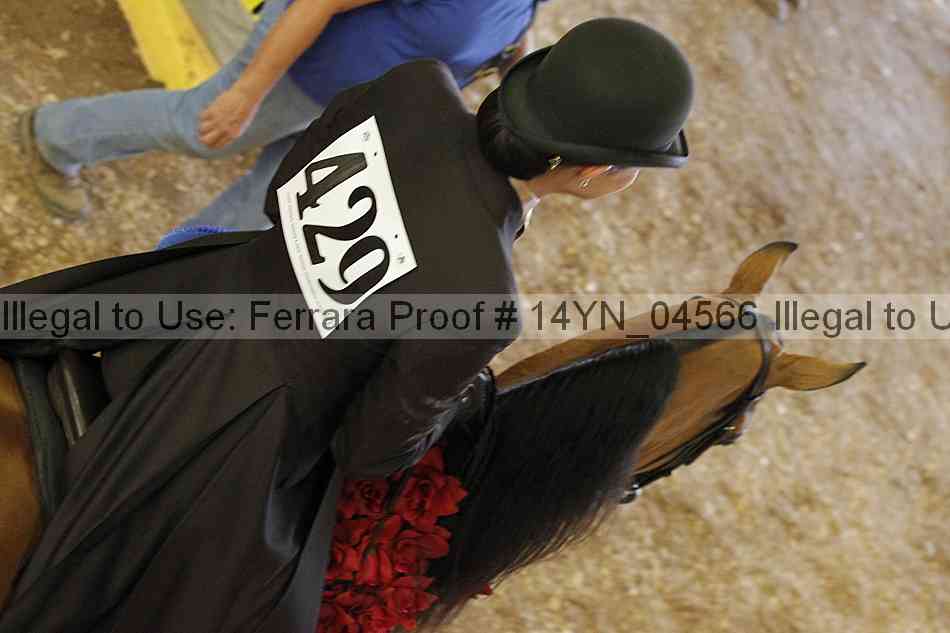 Proof 14yn_04566