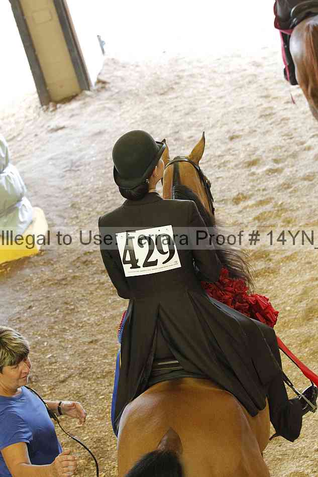 Proof 14yn_04568