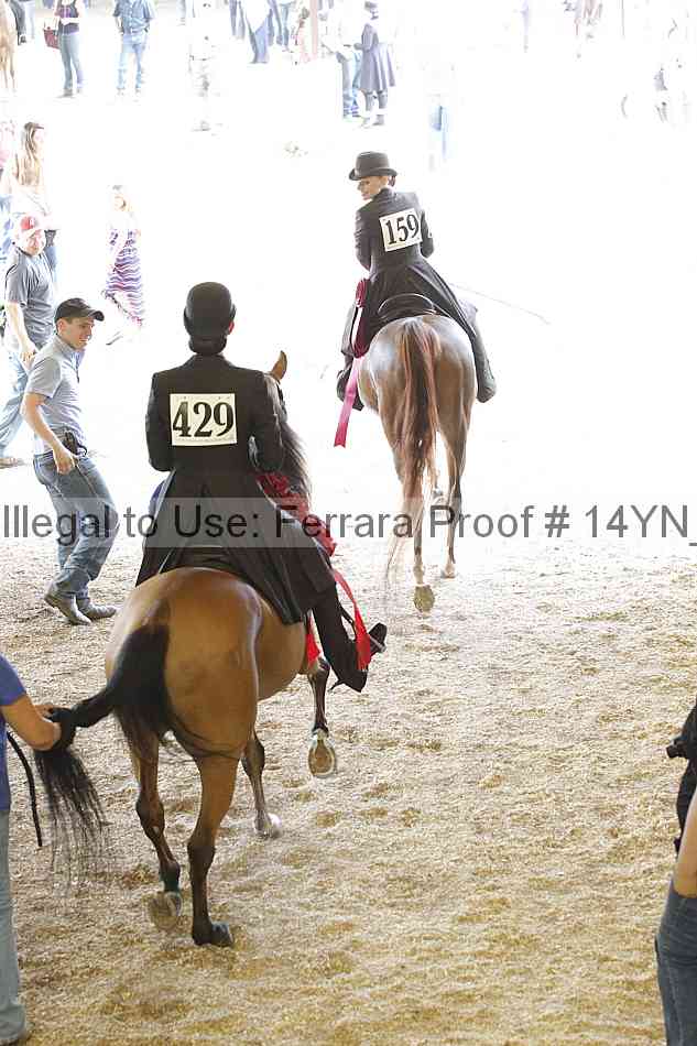 Proof 14yn_04569
