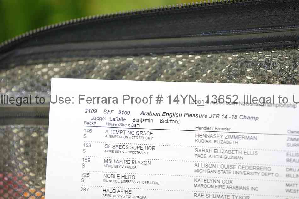 Proof 14yn_13652